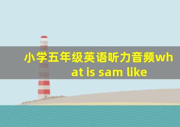 小学五年级英语听力音频what is sam like